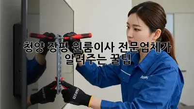 청양 장평 원룸이사? 전문업체가 알려주는 꿀팁!